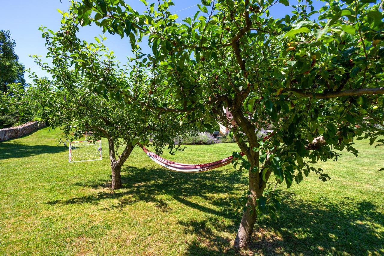 Villa Krizanci Žminj Exterior foto